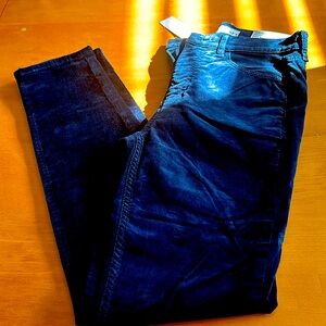 NWOT Loft Velvet Skinny Pants